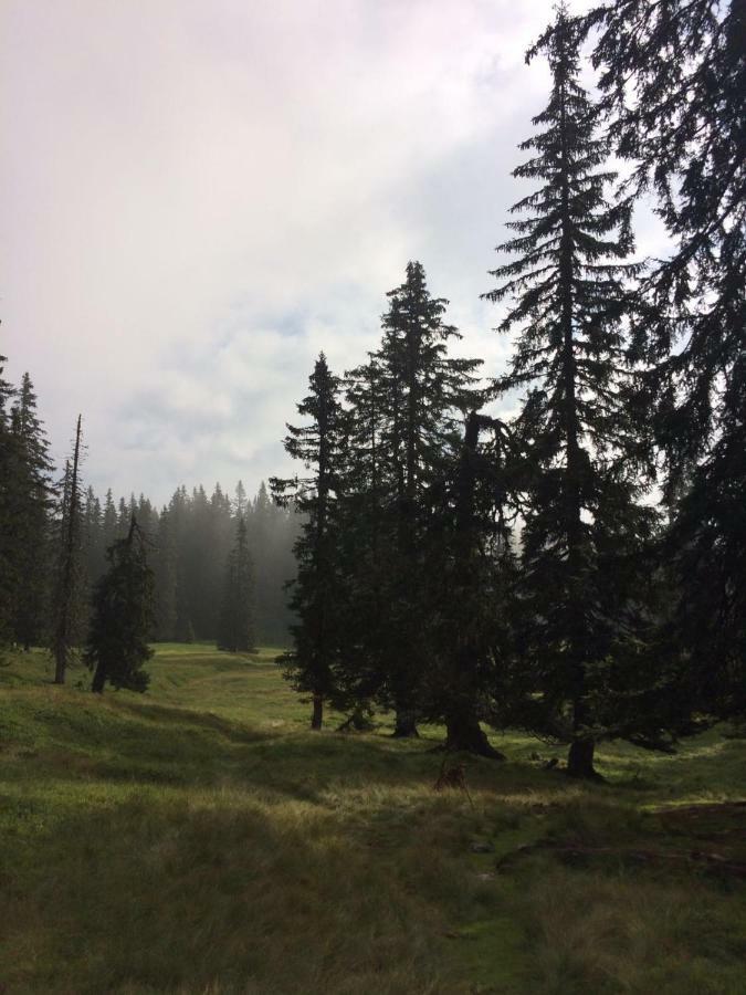 Chalets Almidylle Sankt Martin am Tennengebirge Exterior foto